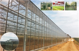 信義農業生態園230KW光伏農業大棚 信義農業生態園230KW光伏農業大棚