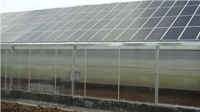 信義農業生態園230KW光伏農業大棚
