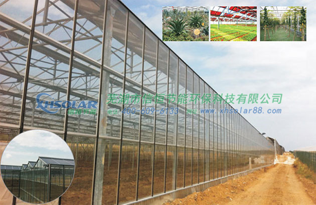 光伏農業大棚解決方案 光伏農業大棚解決方案