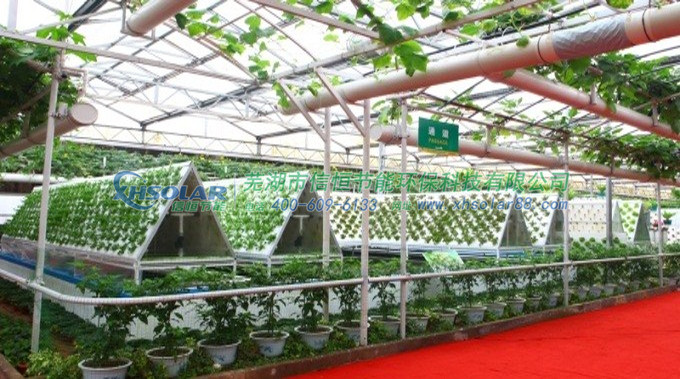 光伏農業大棚解決方案 光伏農業大棚解決方案