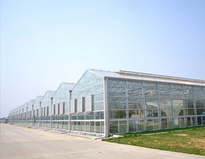 敏華農業生態園230KW光伏農業大棚項目 敏華農業生態園230KW光伏農業大棚項目